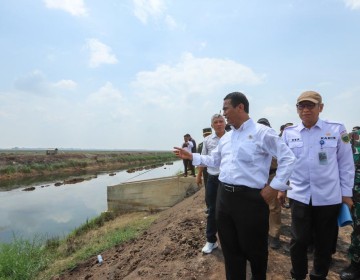 Mentan Amran Optimasi Lahan Rawa Naikkan Indeks Pertanaman di Ogan Ilir