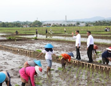 Presiden Jokowi Ajak Petani Jawa Tengah Percepat Tanam di Bulan Januari 2024