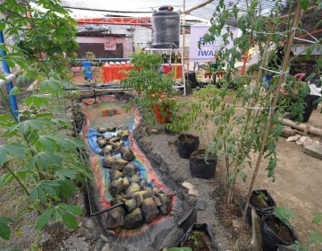 Warga Tuminting dan BRI Ubah Lahan Timbunan Sampah Jadi Lahan Urban Farming 'BRInita'