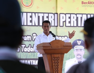 Mentan Amran Dongkrak Produksi di Kalsel dengan Optimasi Lahan Rawa