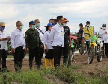 Mentan Pacu Produksi Hingga Hilirisasi Beras di Food Estate Kalteng