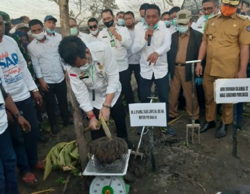 Permintaan Ekspor Meningkat, Tanaman Porang Sukses Jadi Primadona