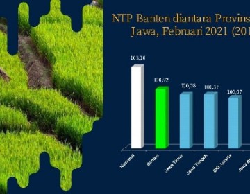 NTP Banten Tertinggi se-Pulau Jawa 