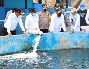 Menteri Trenggono Setuju Benih Bawal Bintang Hybrid BPBL Batam Diberi Nama “Bawal Sakti”