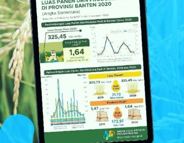 Provinsi Banten Sembilan Besar Produsen Beras Nasional