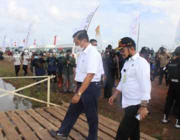 Menko Luhut Dorong Kolaborasi di Food Estate Libatkan Kementan, PUPR dan Peneliti