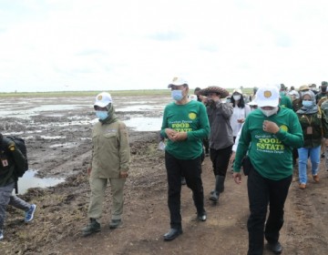 Kementan: Food Estate Kalteng Akan Jadi Kiblat Lumbung Pangan Nasional