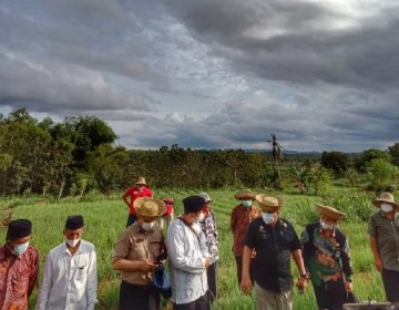 Bawang Merah dan Cabai Rawit Rubaru, Potensi Andalan Hortikultura Sumenep