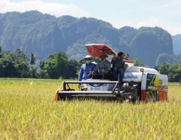 Tingkatkan Produktivitas, Mentan Dorong Petani Pangkep 3 Kali Tanam Dalam Semusim