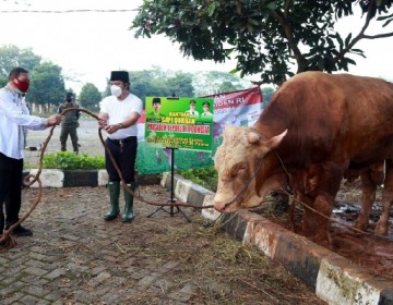 Dilaksanakan Hari ini, Sekda Al-Muktabar Pimpin Pemotongan Hewan Kurban Masjid Raya Al Bantani 