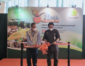 Kementan Gelar Ekspose UMKM Pangan Lokal 2021