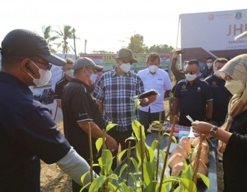 Gubernur Banten : Budidaya Vanili Dorong Pengembangan Rempah Provinsi Banten