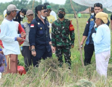 Mentan Dorong Kabupaten Karawang Jadi Percontohan Tiga Kali Panen