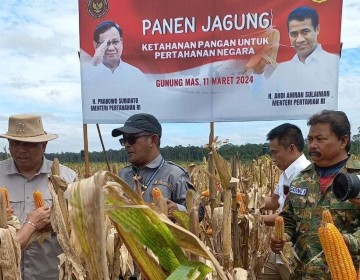 Kementan-Kemenhan Gelar Panen Raya Jagung di Kawasan Food Estate Gunung Mas