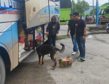 6 Anjing K9 Bantu Lacak Peredaran Narkoba di Pelabuhan Bakauheni, Ini Hasilnya