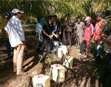 Presiden Terpilih Prabowo Harus Tahu,  Pupuk Hayati Mikroba Teknologi Dr Lukman Gunarto Bikin Petani Sawit Cepat Kaya