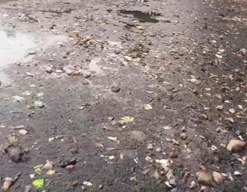 KOPLING Desak Aksi Nyata, Situ Bahar Harus Diselamatkan Bukan Janji
