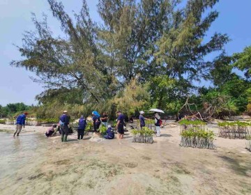 Dukung Upaya Pemerintah Bebas Emisi Karbon, BRI Kembali Tanam Bibit Mangrove di Pulau Tidung