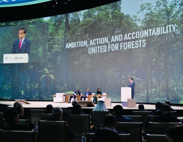 WCAS COP28, Jokowi Sampaikan Langkah Indonesia Capai Net Carbon Sink Sektor Hutan dan Lahan