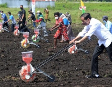 Presiden Jokowi Tanam Jagung Bersama Petani Sorong Papua Barat