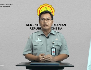 Kementan : Keberhasilan Vaksinasi PMK Butuh Partisipasi Aktif Peternak