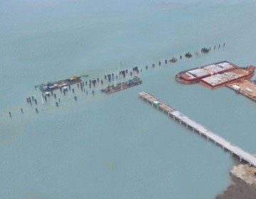 WIKA Rekayasa Konstruksi Dukung Food Estate Wanam Merauke