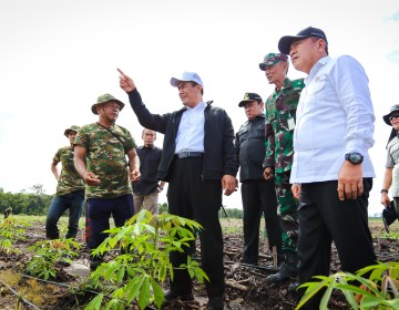 Kunjungi Food Estate Gunung Mas Bareng Wamenhan, Mentan Amran: Terlalu Kecil Untuk Diributkan