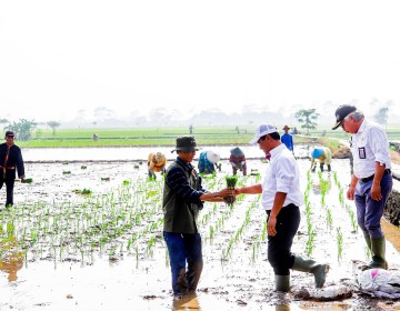 Mentan Amran Ajak Petani Kabupaten Bandung Percepat Waktu Tanam