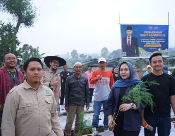 Telkom Dorong Ekosistem Bisnis Asparagus di Cianjur