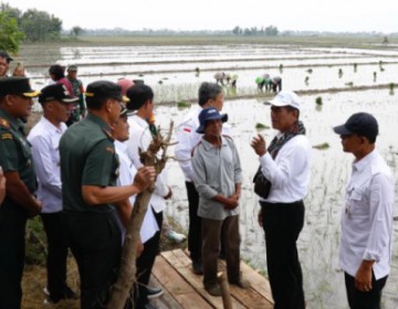 Mentan Amran: Pompanisasi Tingkatkan Produksi Beras Jateng 1,2 Juta Ton