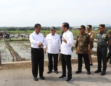 Jokowi Pastikan Ketersediaan Pupuk Subsidi Aman