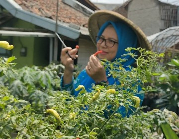 Program BRInita Sukses Jadikan Kelurahan Padjajaran Bandung Jadi Percontohan Urban Farming