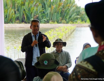 Wamenkeu: Rehabilitasi Mangrove Tingkatkan Kesejahteraan Masyarakat